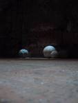 cannon balls 3.JPG