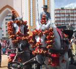 Feria Horses