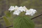 CRW_3438.jpg